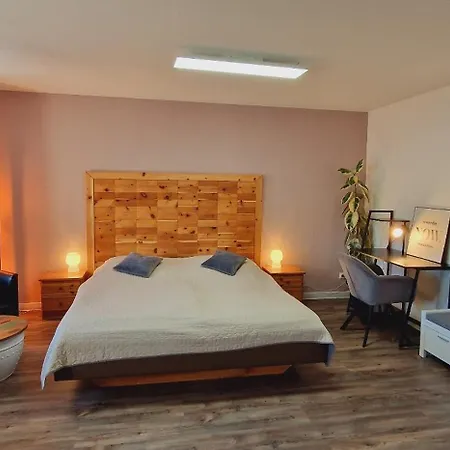 Peter Erholungsort Baerenstein * Altenberg (Osterzgebirge)