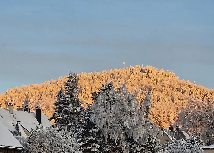 شقة Peter Erholungsort Baerenstein